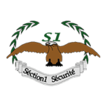 section-1