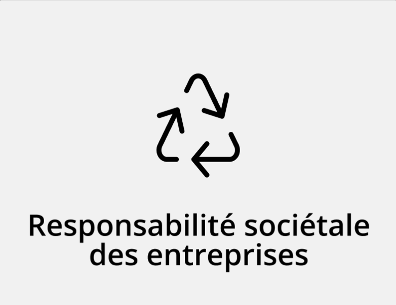 Responsabilité sociétale des entreprises
